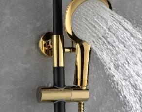 NHỮNG VẤN ĐỀ SEN CÂY THƯỜNG GẶP VÀ CÁCH XỬ LÝ KHẮC PHỤC
